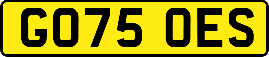 GO75OES