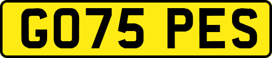 GO75PES