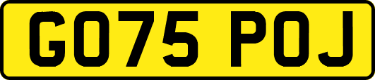 GO75POJ