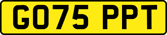 GO75PPT