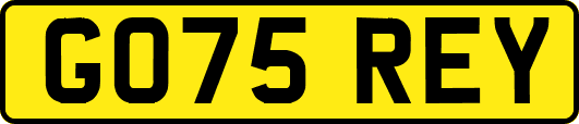 GO75REY