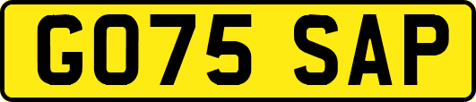 GO75SAP