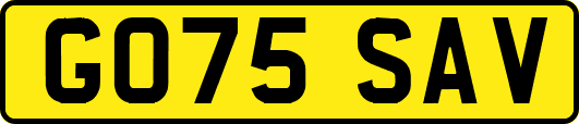 GO75SAV