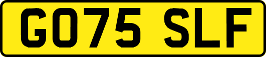 GO75SLF