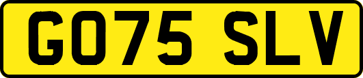 GO75SLV