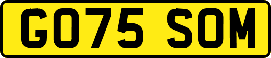 GO75SOM