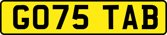 GO75TAB