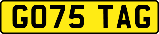 GO75TAG