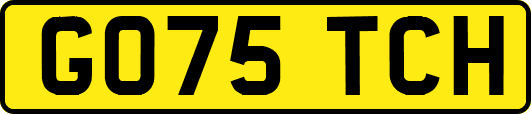 GO75TCH