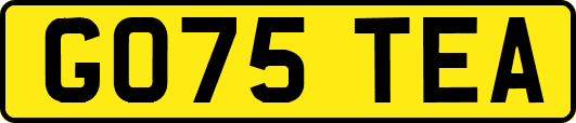 GO75TEA
