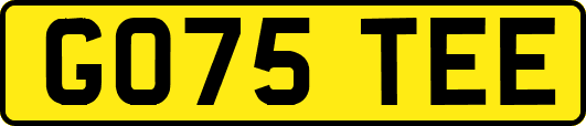 GO75TEE