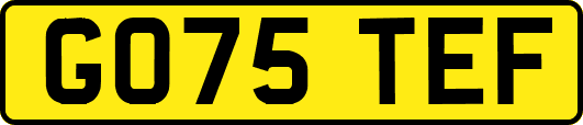 GO75TEF