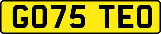 GO75TEO