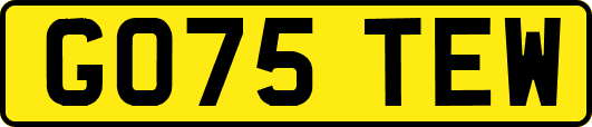 GO75TEW