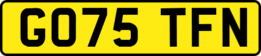 GO75TFN