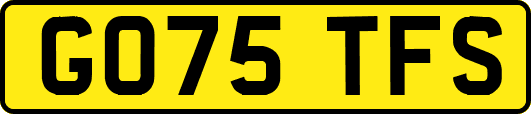 GO75TFS