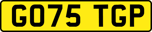GO75TGP