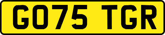 GO75TGR