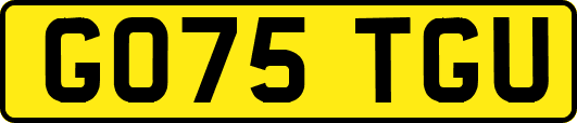 GO75TGU