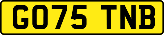 GO75TNB