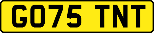 GO75TNT