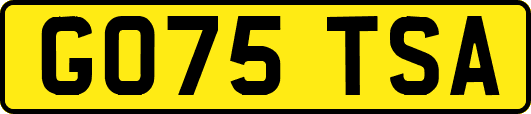 GO75TSA