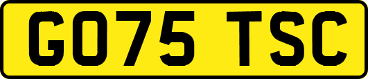 GO75TSC