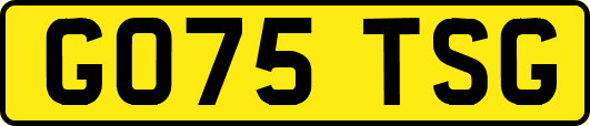 GO75TSG