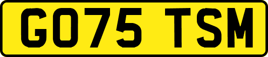 GO75TSM