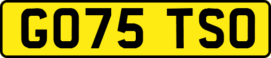 GO75TSO