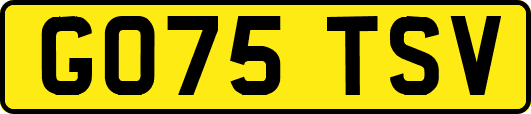 GO75TSV
