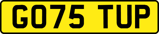 GO75TUP