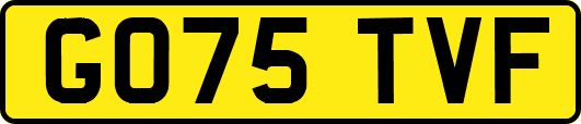 GO75TVF