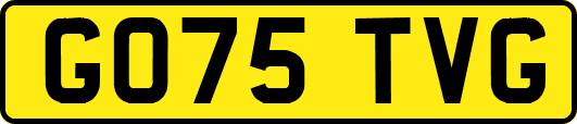 GO75TVG