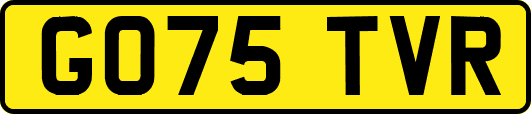 GO75TVR