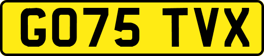 GO75TVX