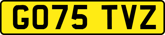 GO75TVZ