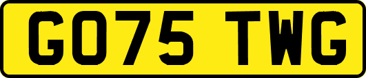 GO75TWG