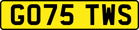 GO75TWS