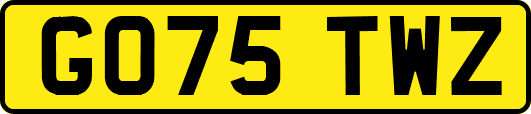 GO75TWZ