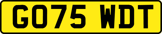 GO75WDT