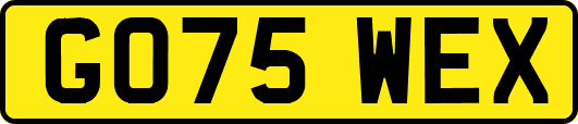 GO75WEX