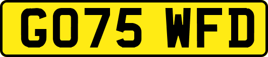 GO75WFD