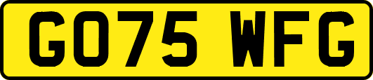 GO75WFG