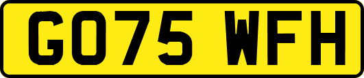 GO75WFH