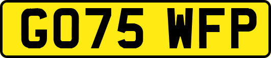 GO75WFP
