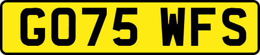 GO75WFS