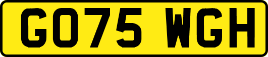 GO75WGH