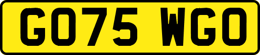 GO75WGO
