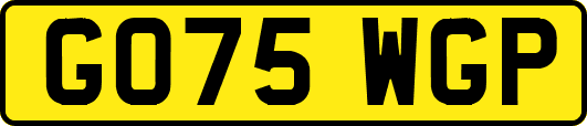 GO75WGP